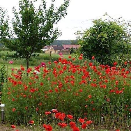 Ruhige Fewo Im Gruenen Mit Balkon, Terrasse Und Grossem Garten Leilighet Sehlen Eksteriør bilde