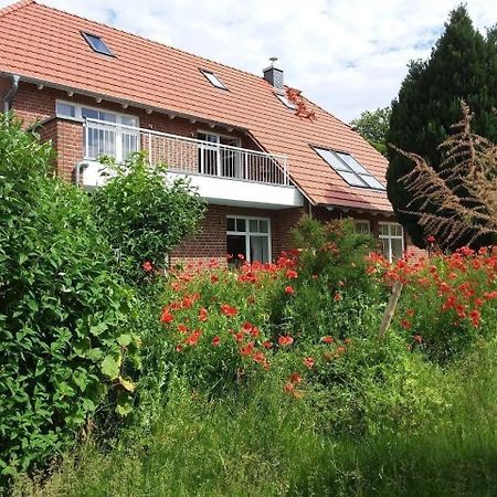 Ruhige Fewo Im Gruenen Mit Balkon, Terrasse Und Grossem Garten Leilighet Sehlen Eksteriør bilde