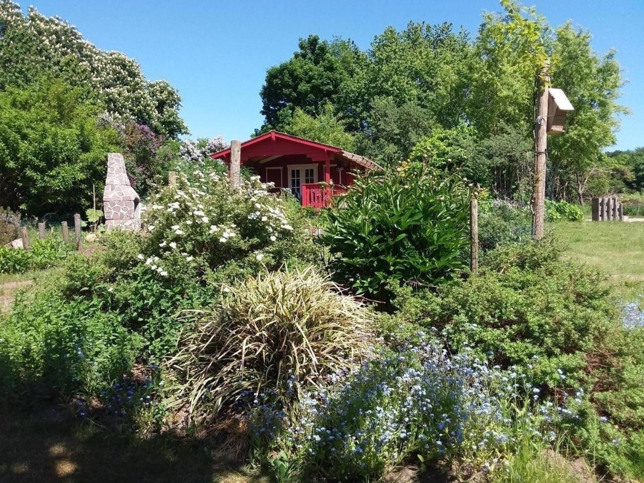 Ruhige Fewo Im Gruenen Mit Balkon, Terrasse Und Grossem Garten Leilighet Sehlen Eksteriør bilde